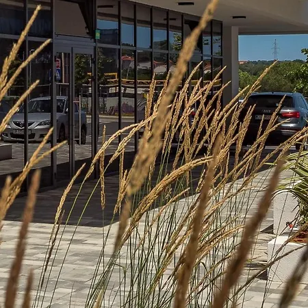 Апартаменты Cozy And Elegant